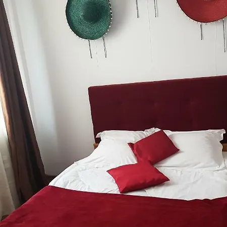 Apartment Sofia Constanta